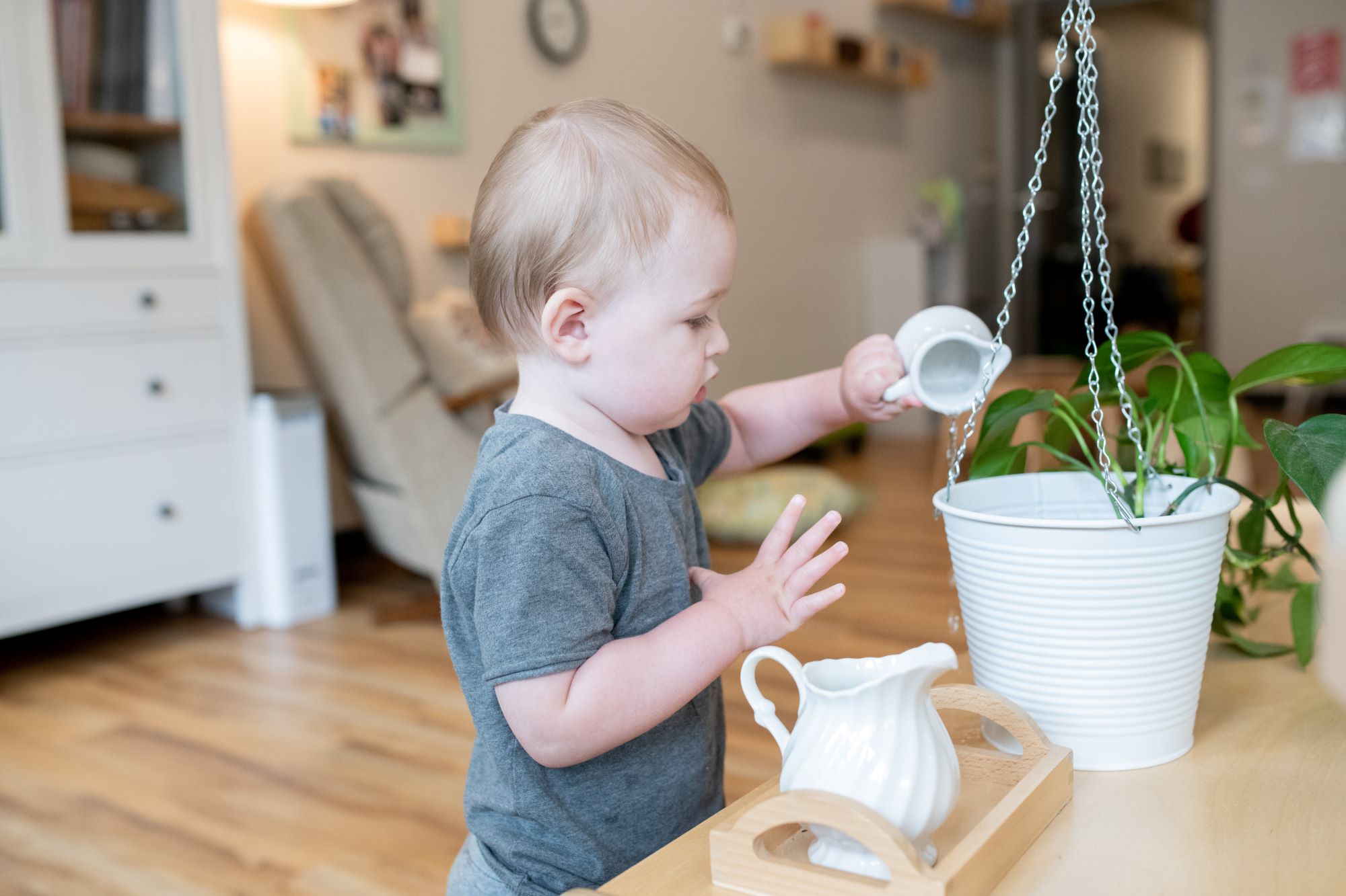 Toddler watering plant in a Christian Montessori classroom in Roseville MN